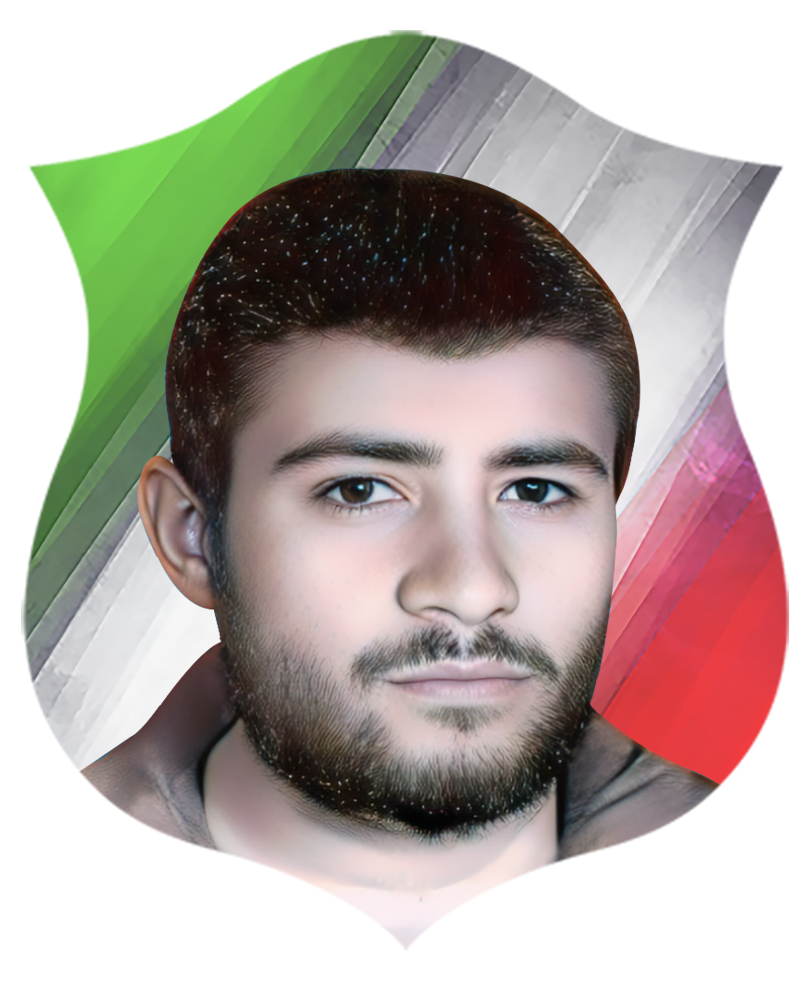 شهید رضا نوروزی
