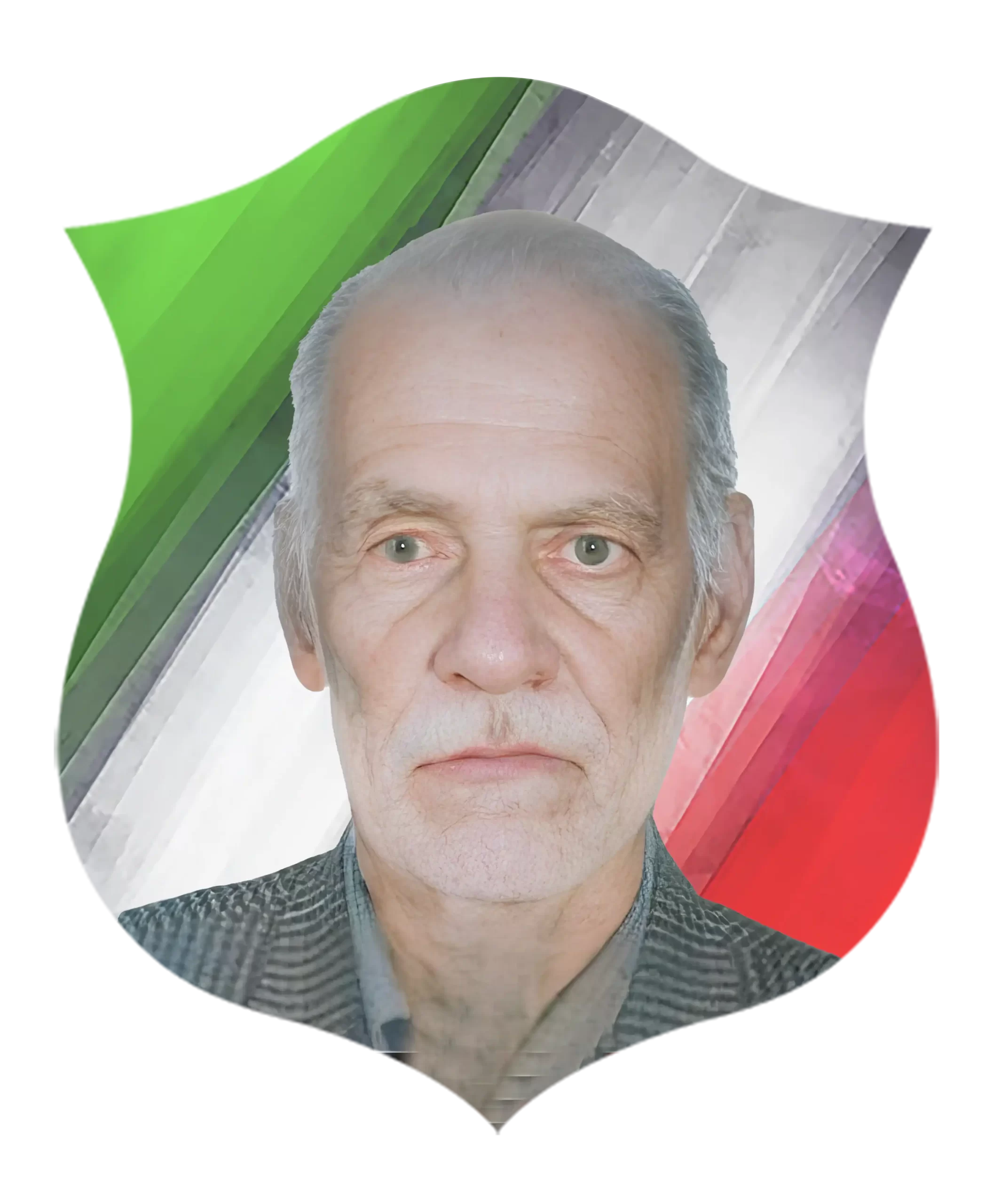 شهید حسين شکری