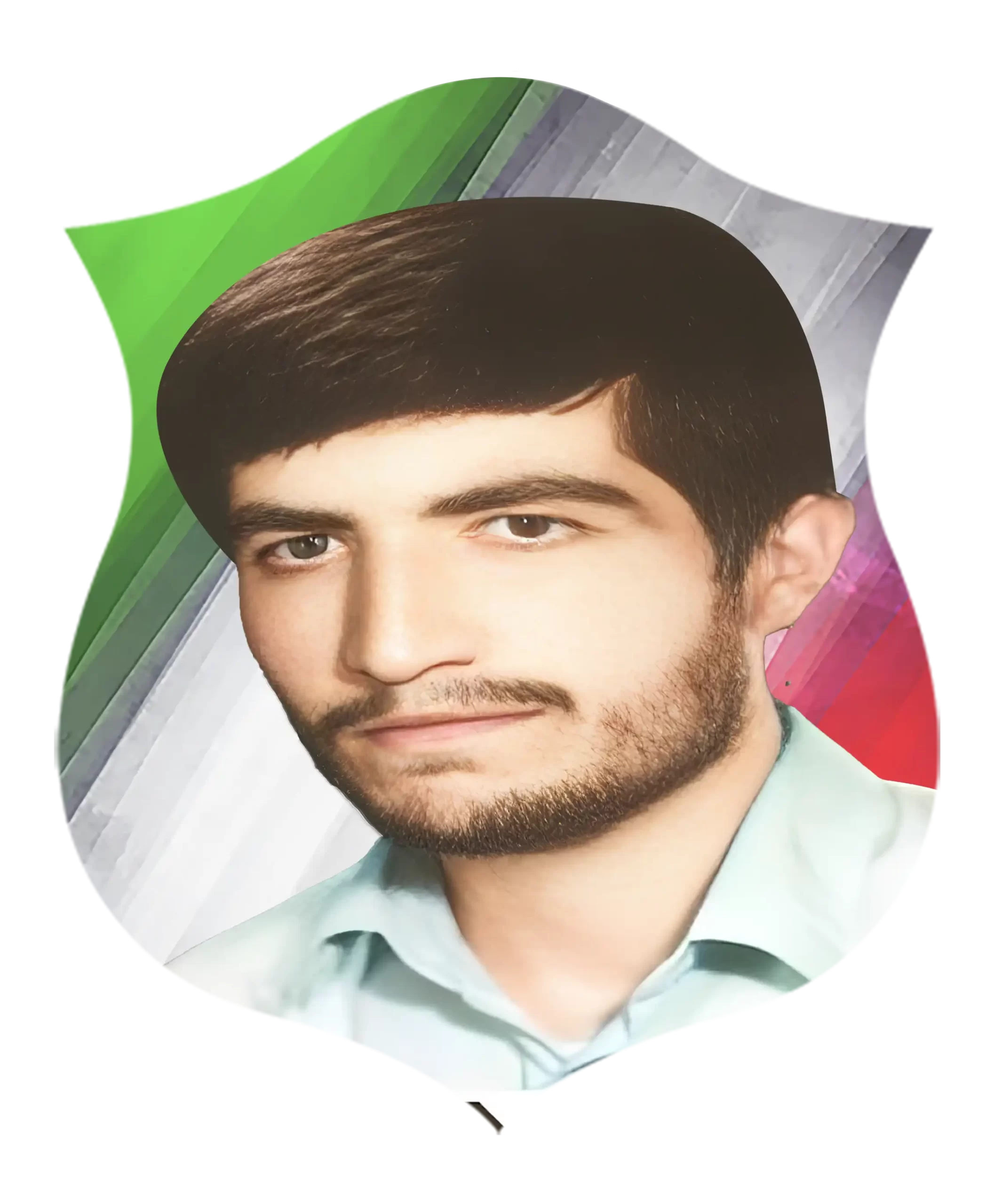 شهید رضا حمزه ای