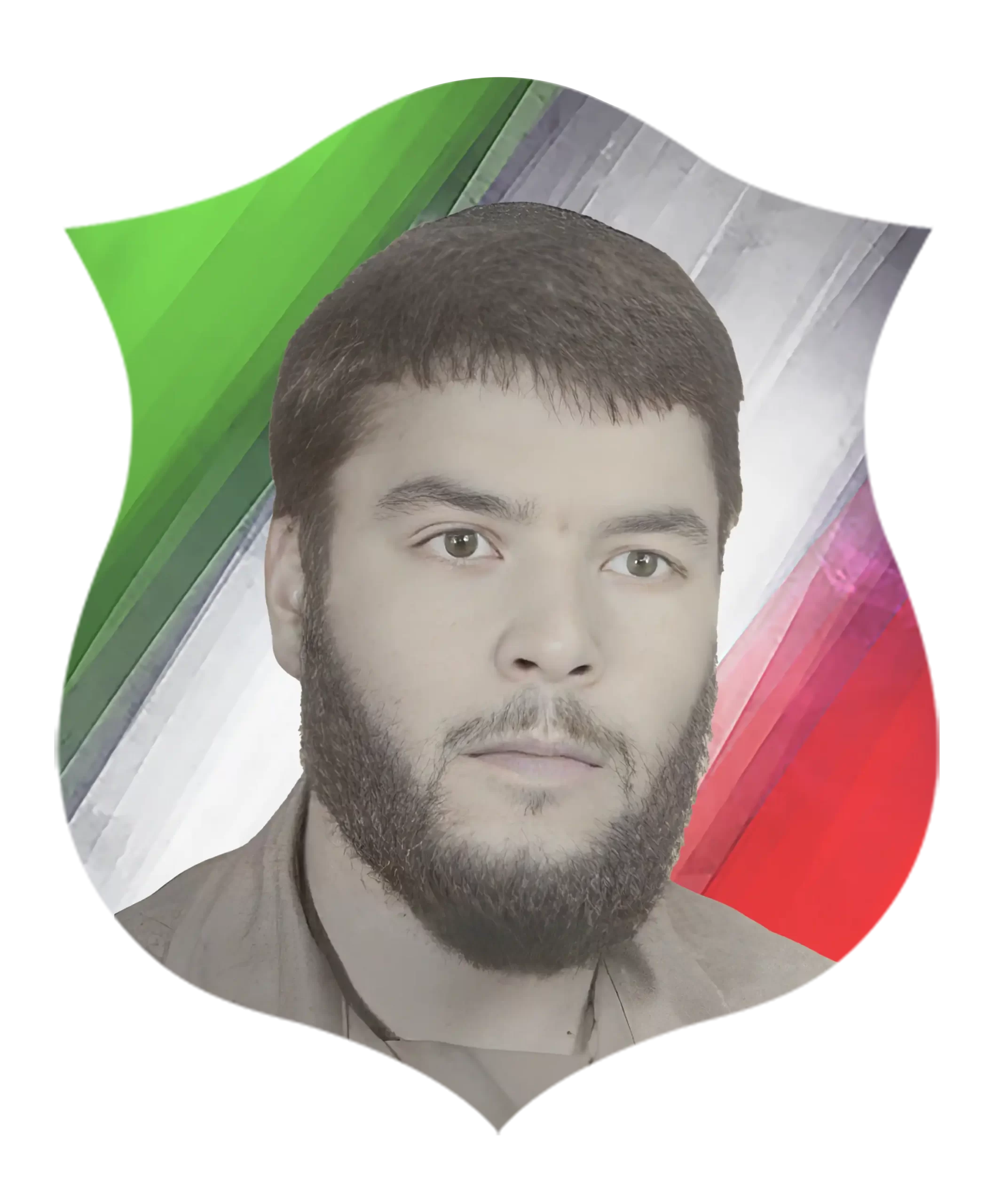 شهید فريدون طیبی