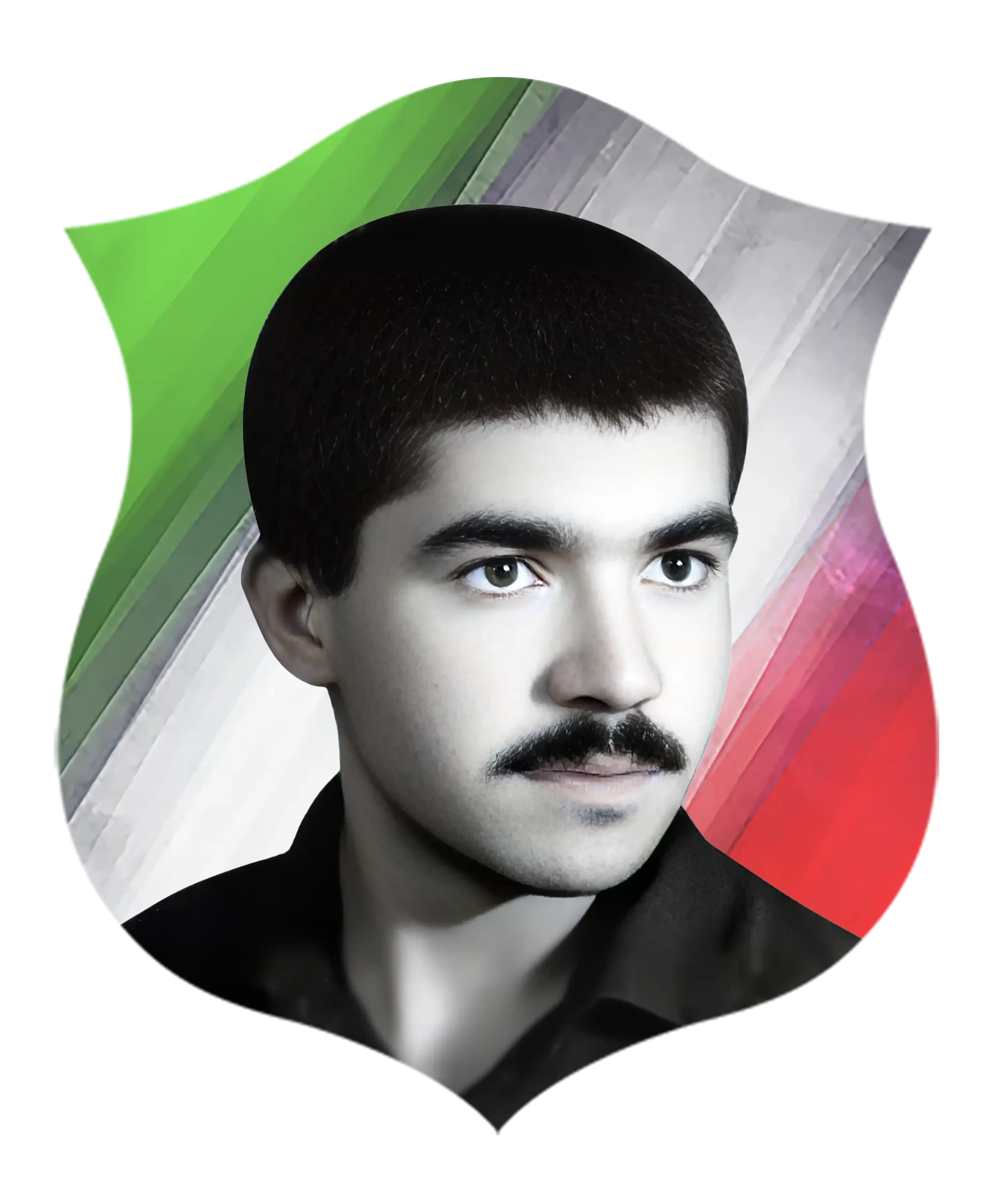 شهید محمود تفکری گلزار