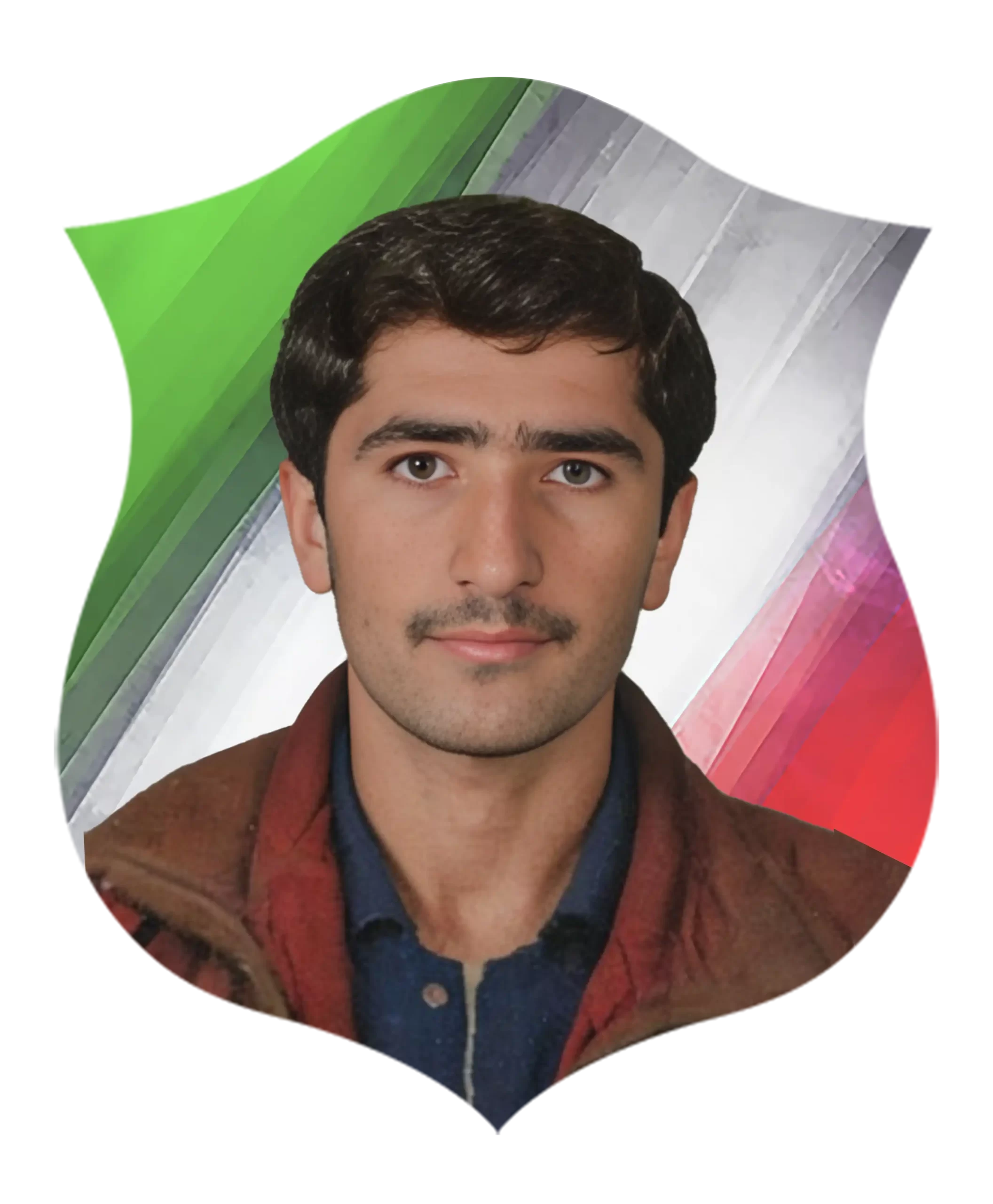 شهید محسن مهرجو
