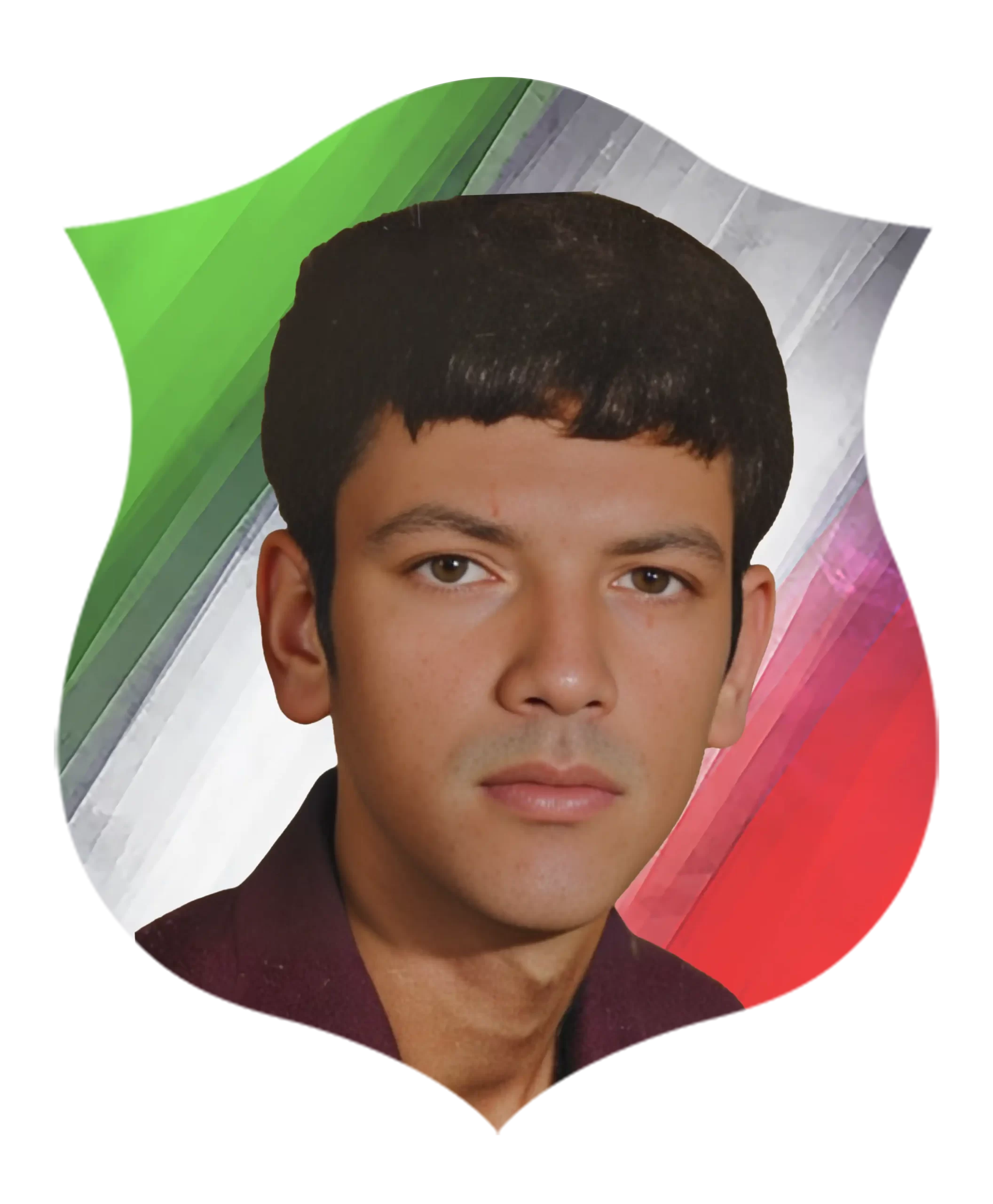 شهید  محسن لطفعلی