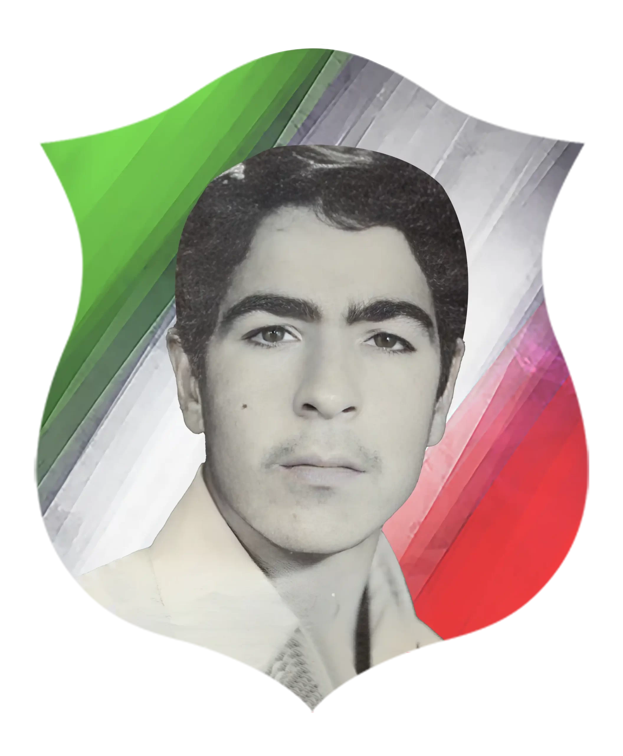 شهید حمید ساریخانی