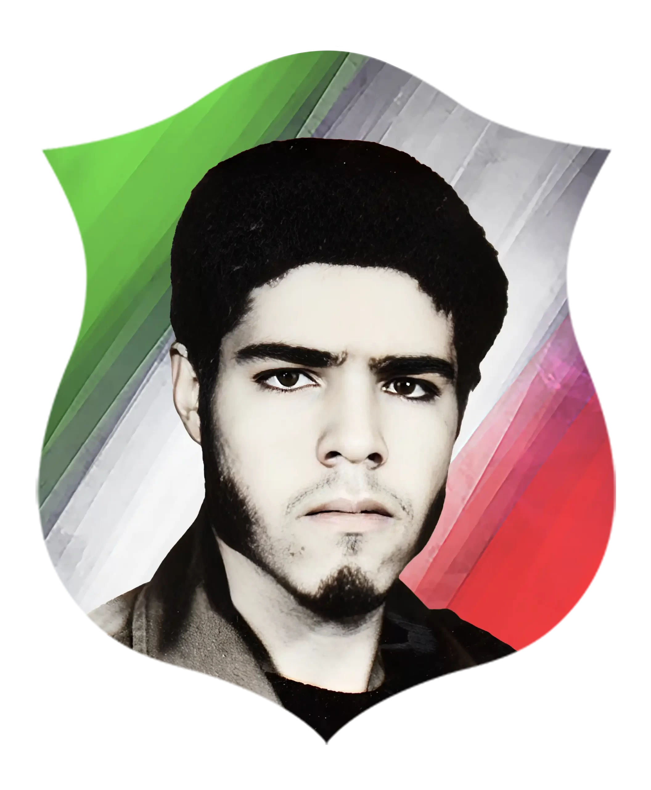 شهید حمیدرضا دره ای