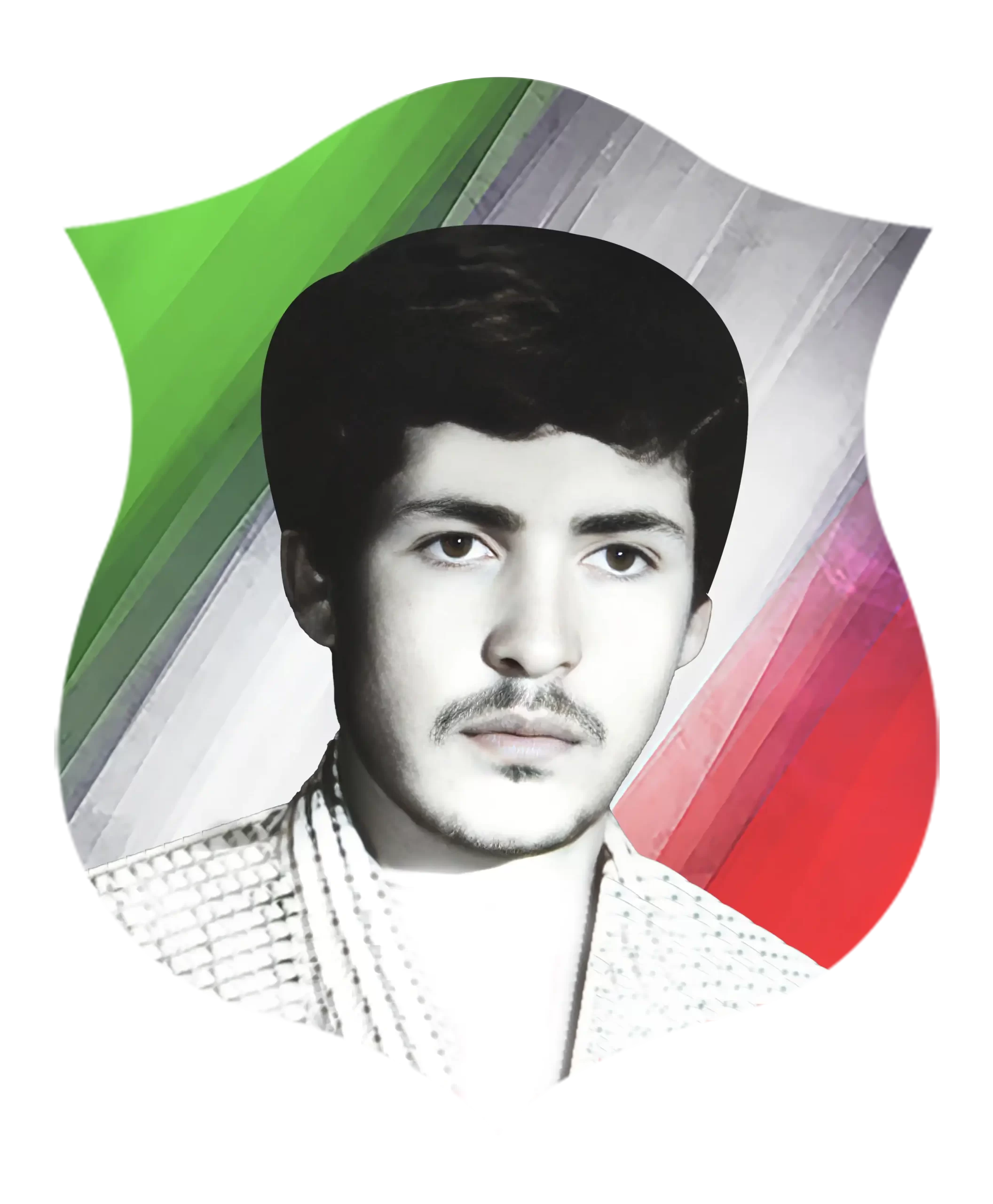 شهید رضا گرجی
