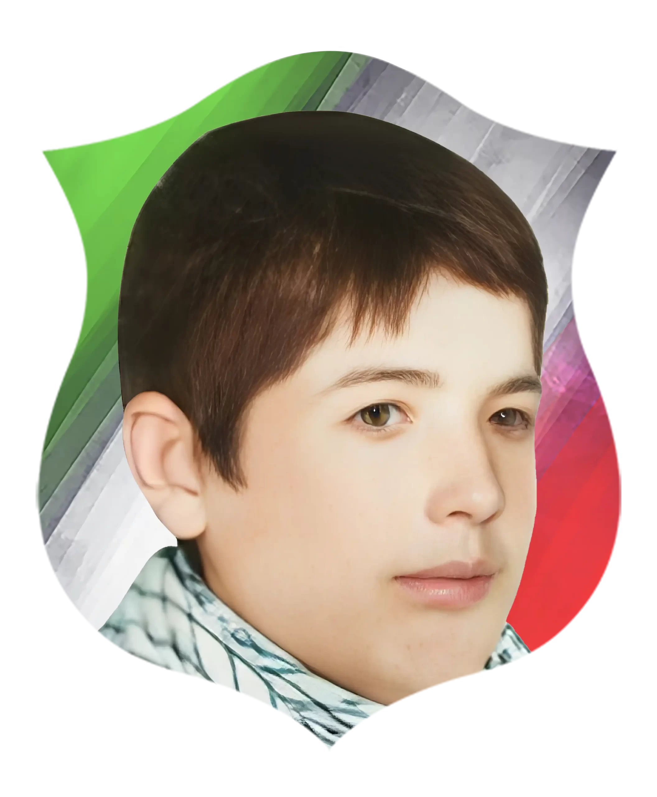شهیدهادی احمدی