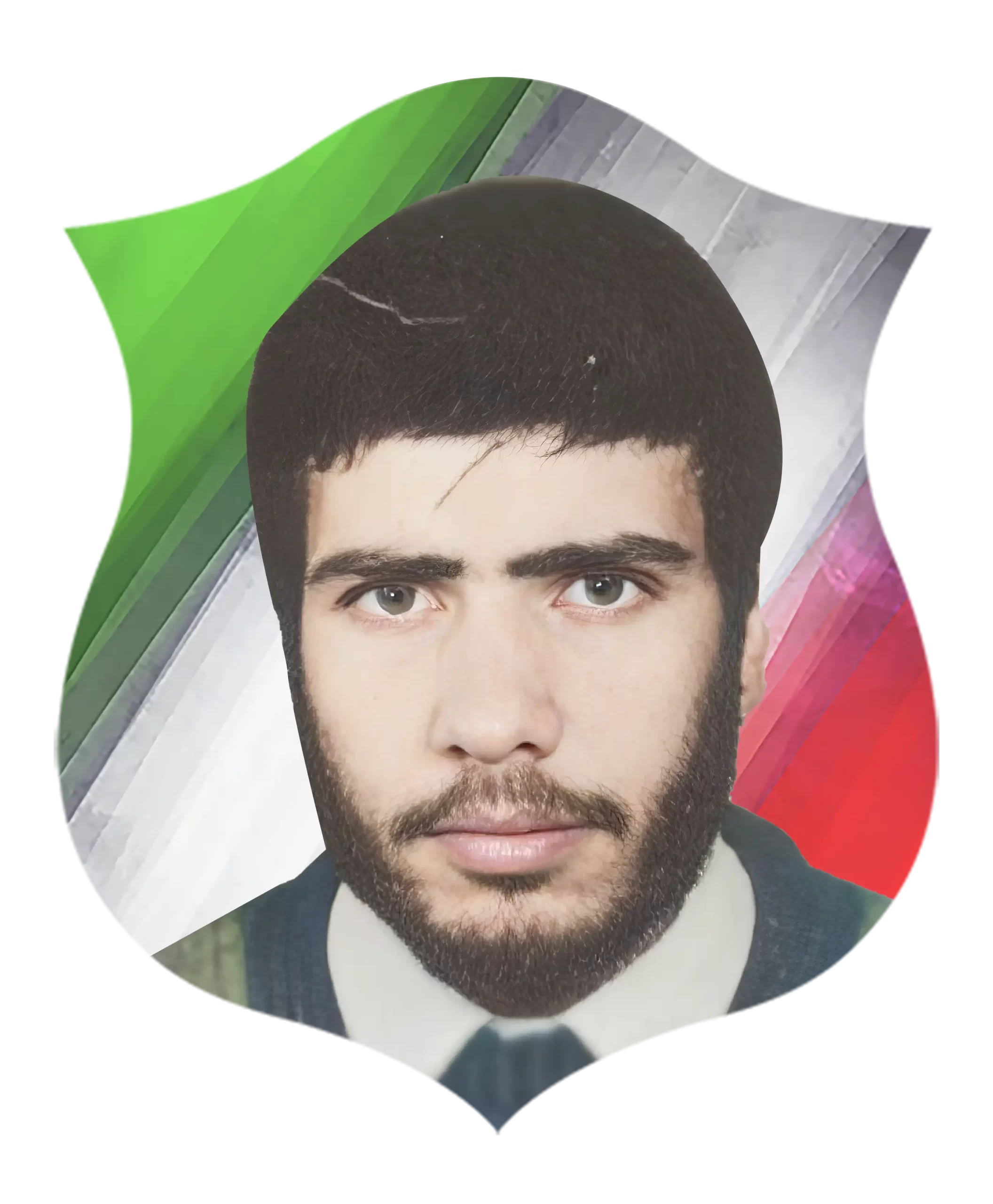 شهیدمحمدرضا عربی