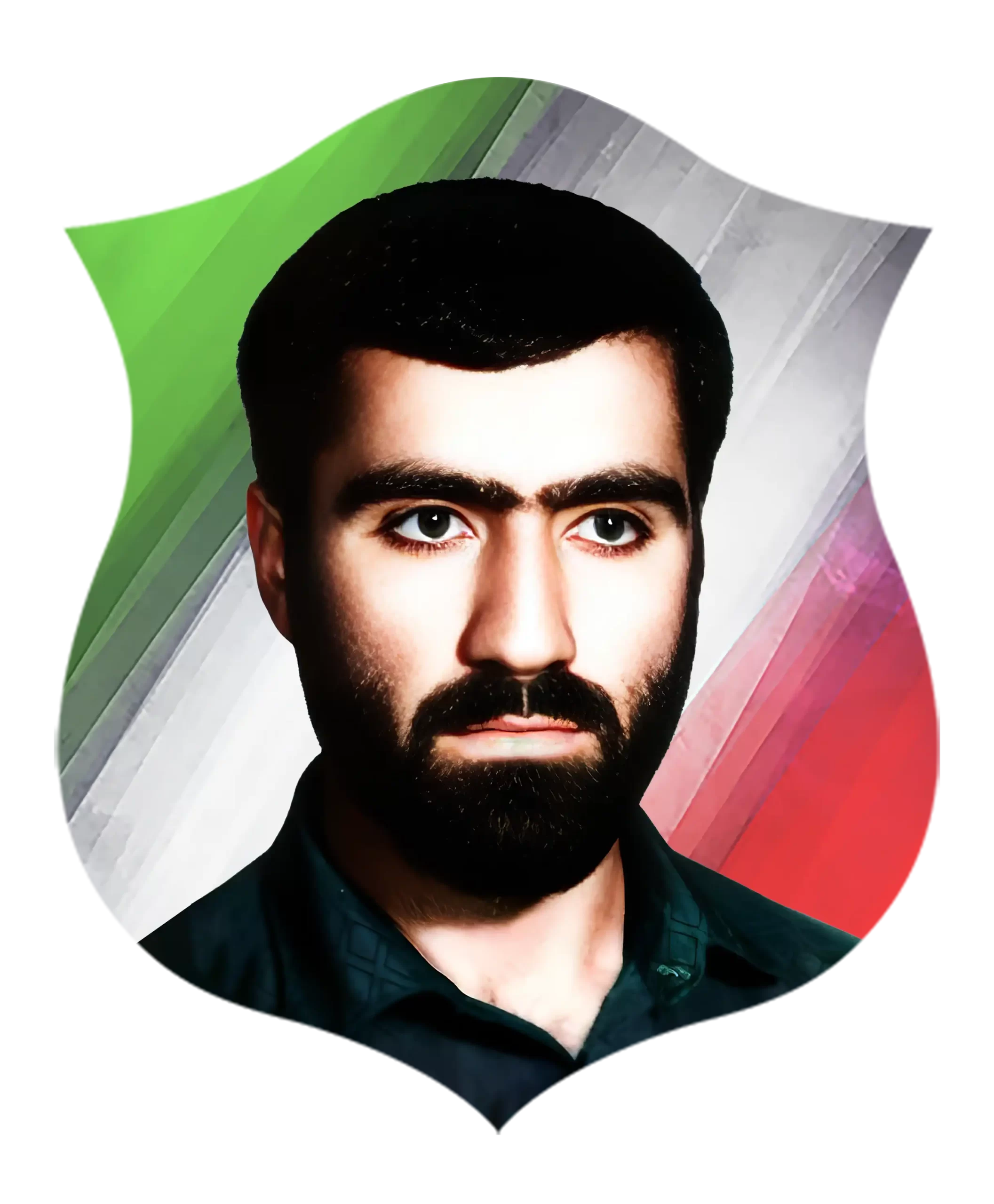 شهیدمحمدعلی قپانوری