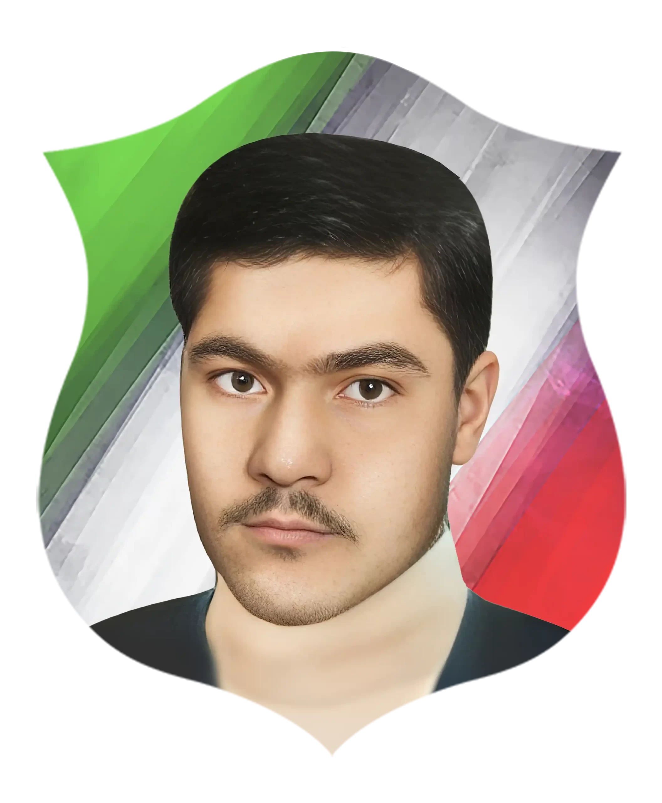 شهیدهرمز سیاوشی شهیدهرمز سیاوشی