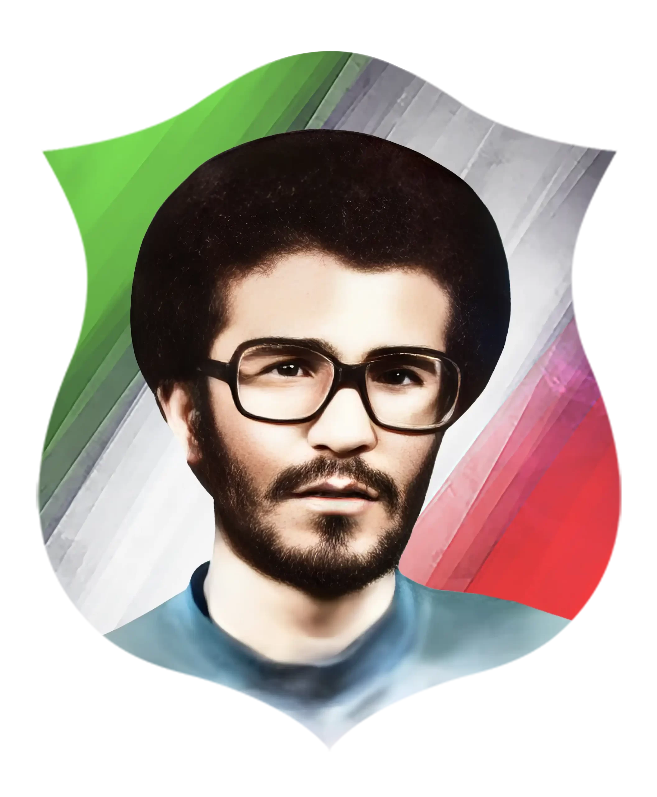 شهید محسن محمدی ورجاوند
