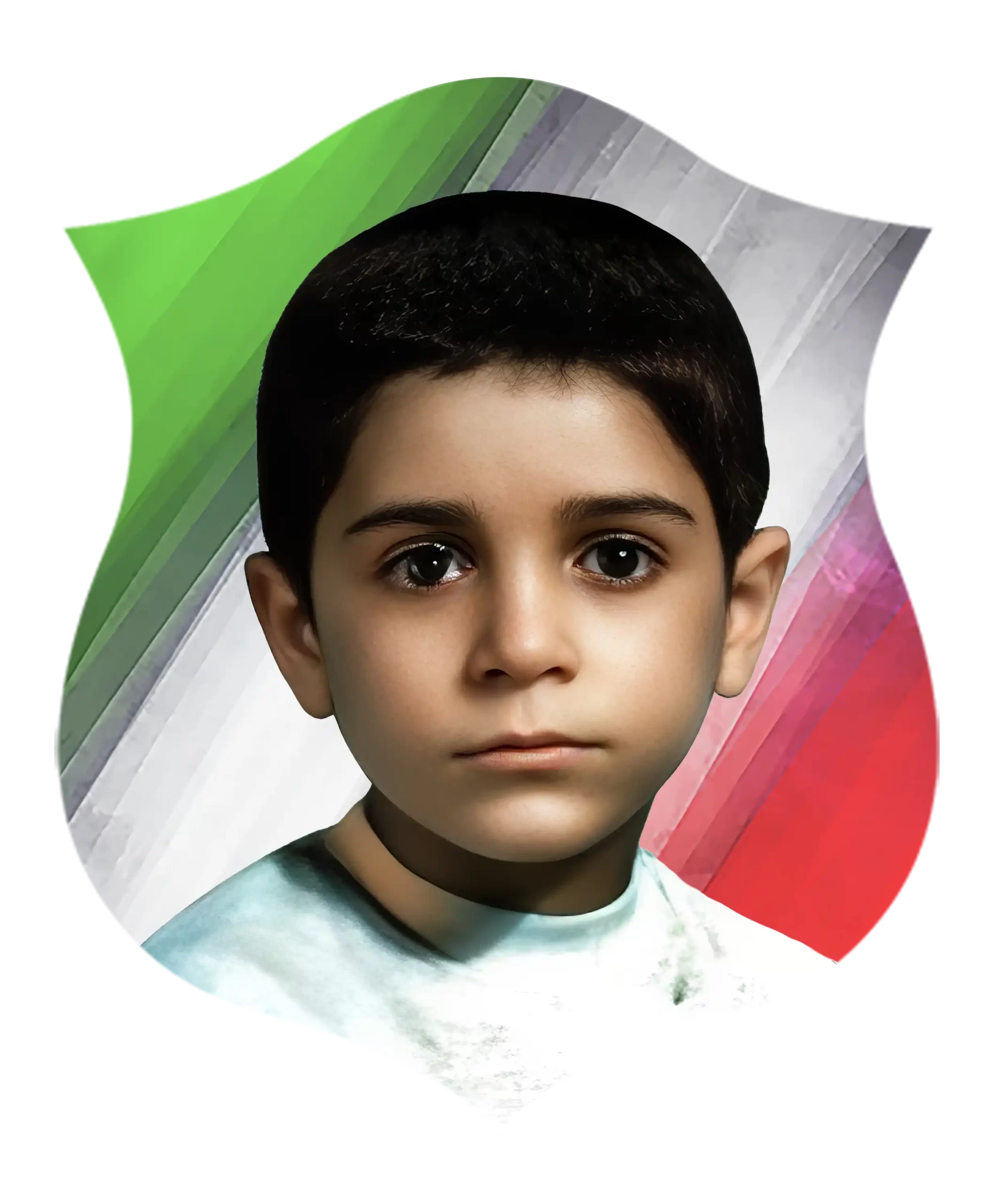 شهید محسن وردیان شهید محسن وردیان