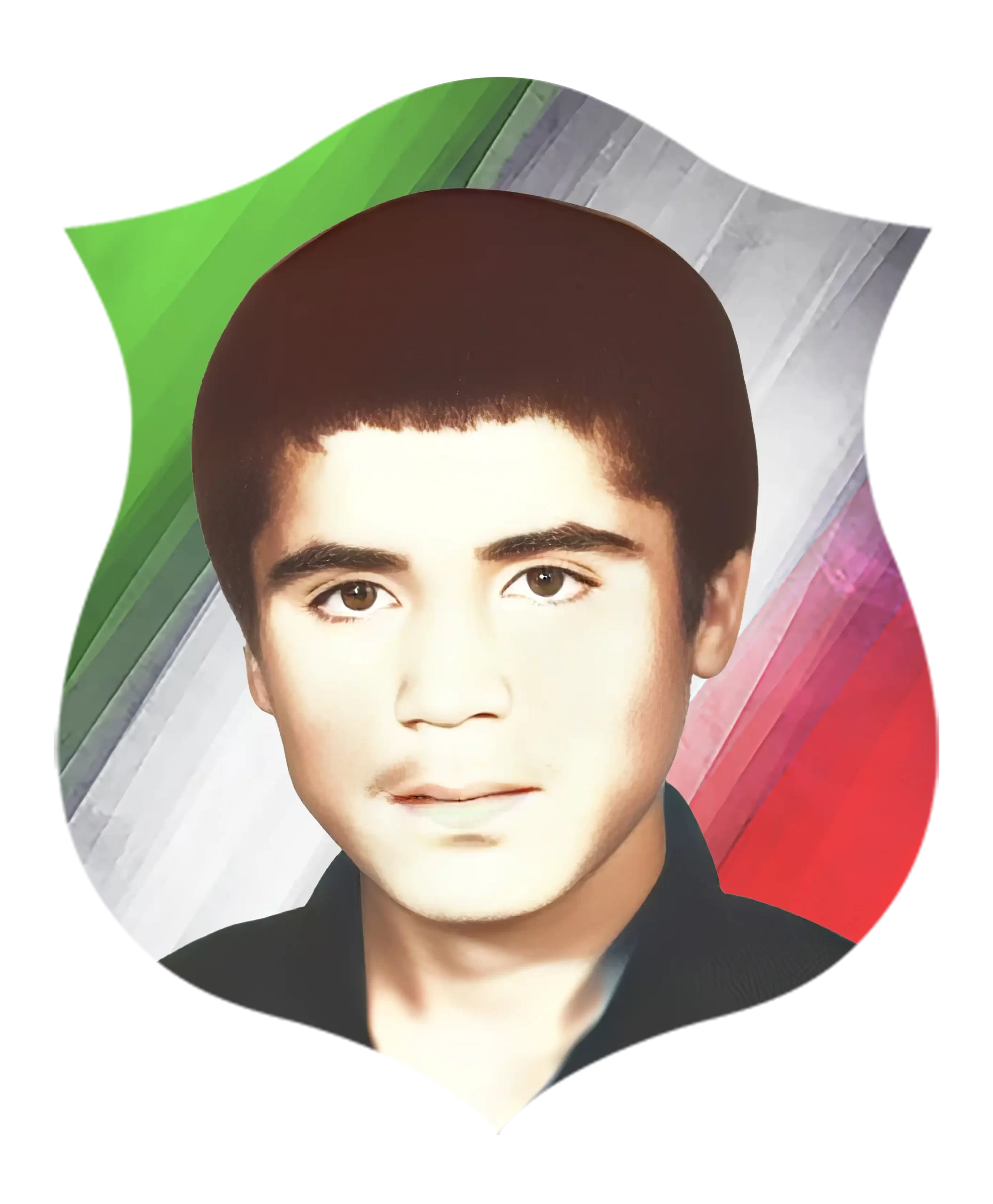 شهید محمود زارعی