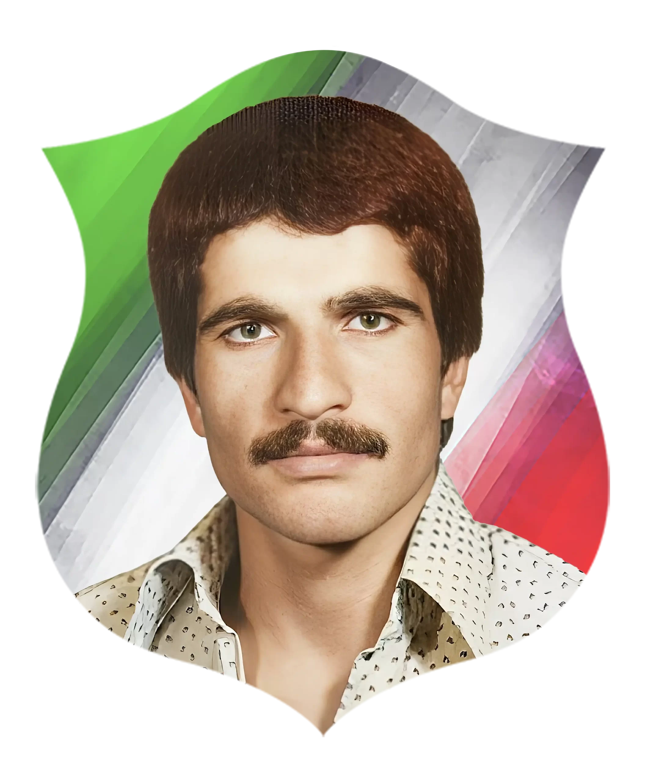 شهید نادر دارچینیان شهید نادر دارچینیان