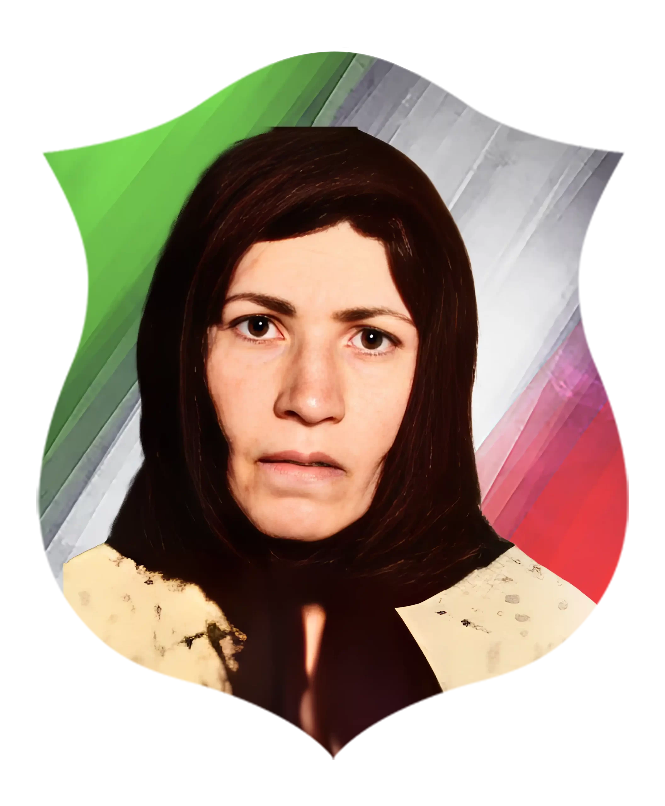 شهیده نادره تیموری