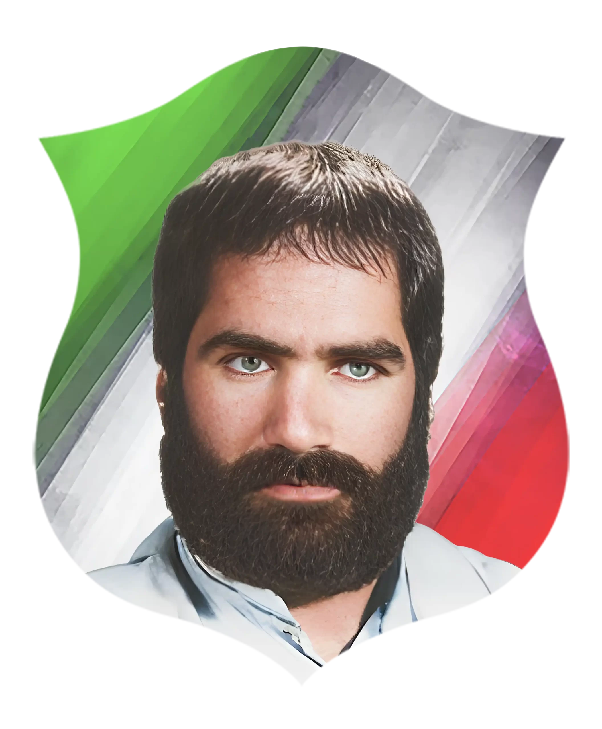 شهید ناصر شریفی نیا