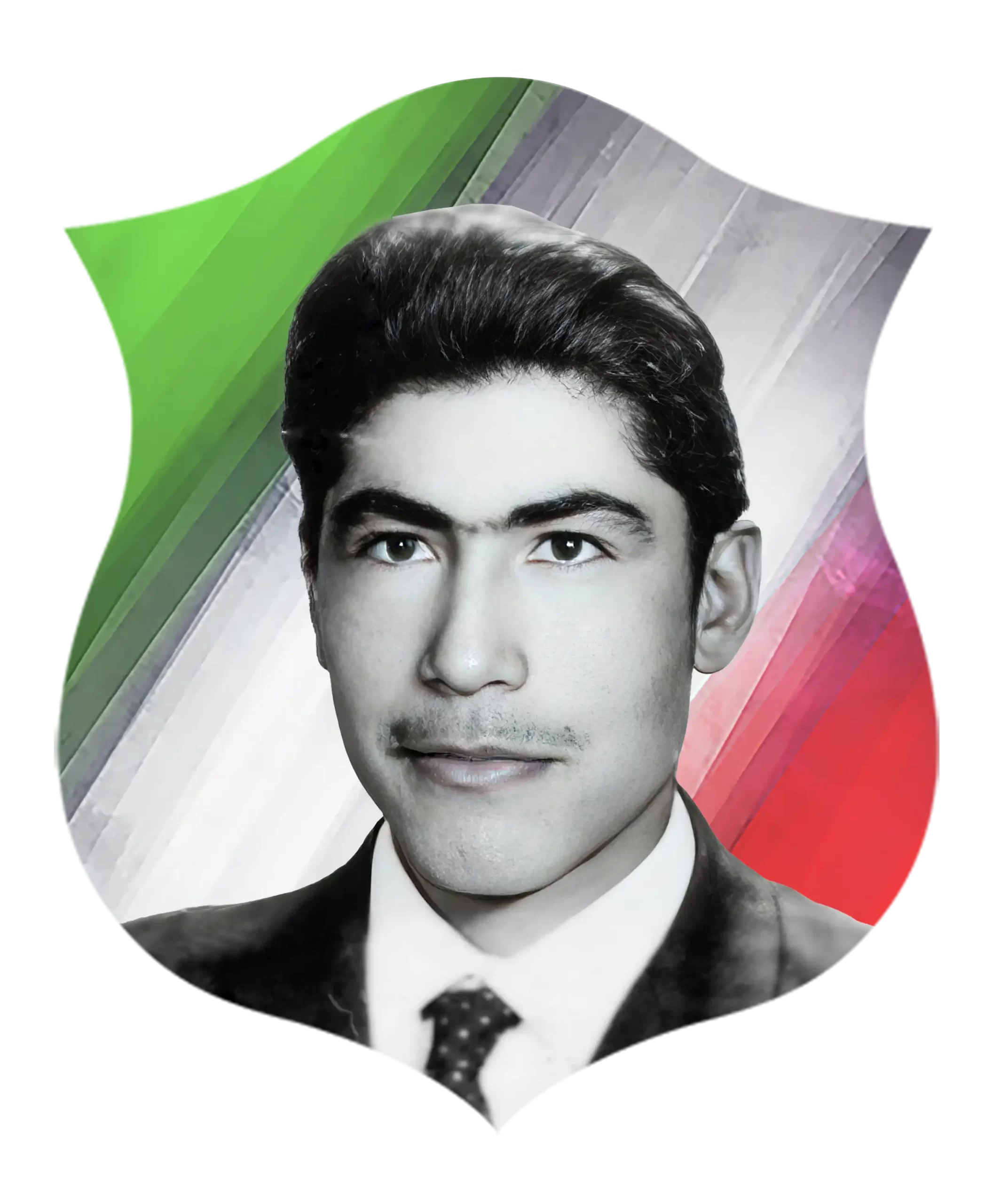 شهید رضا روستايي