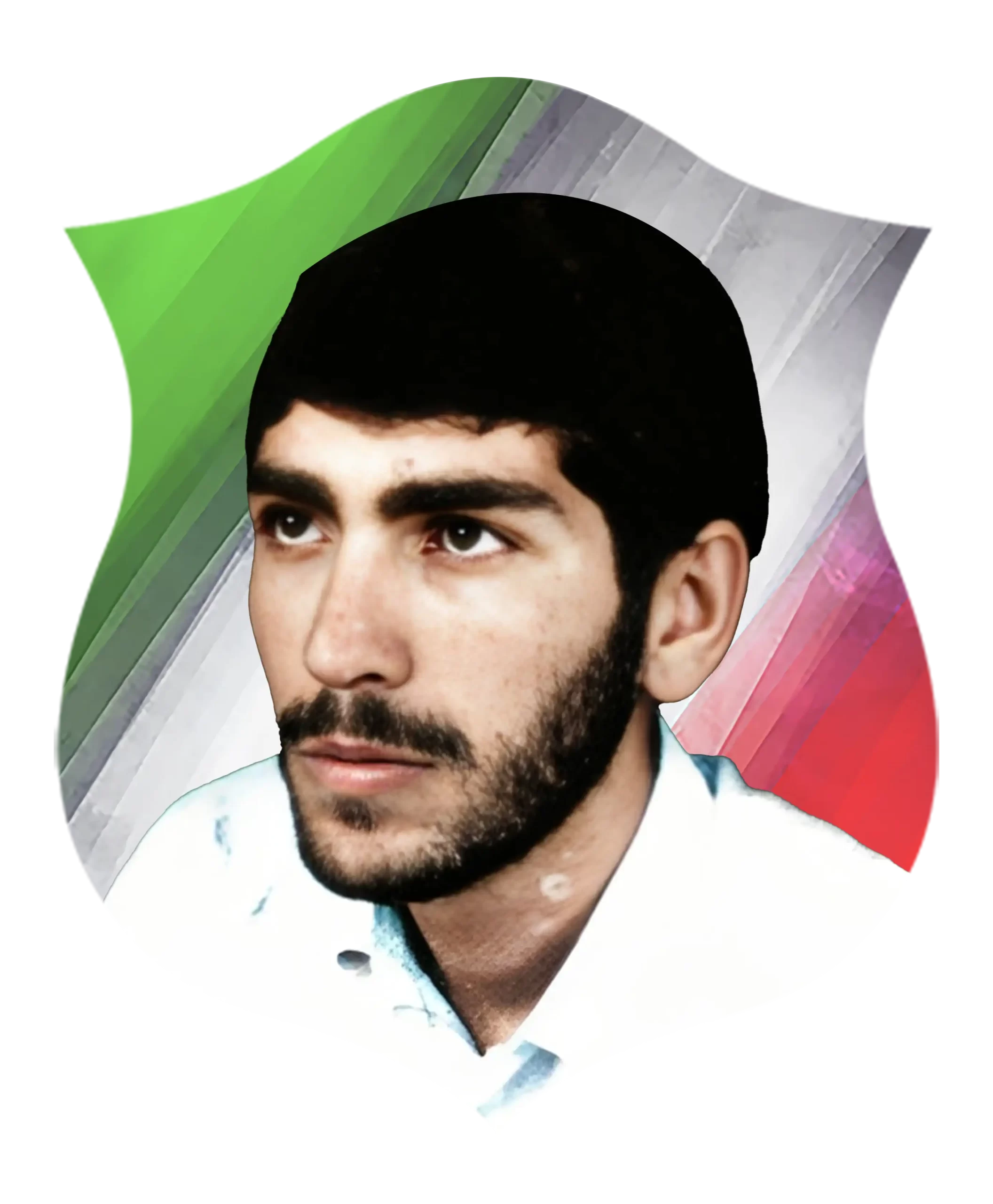 شهید رضا مالمير