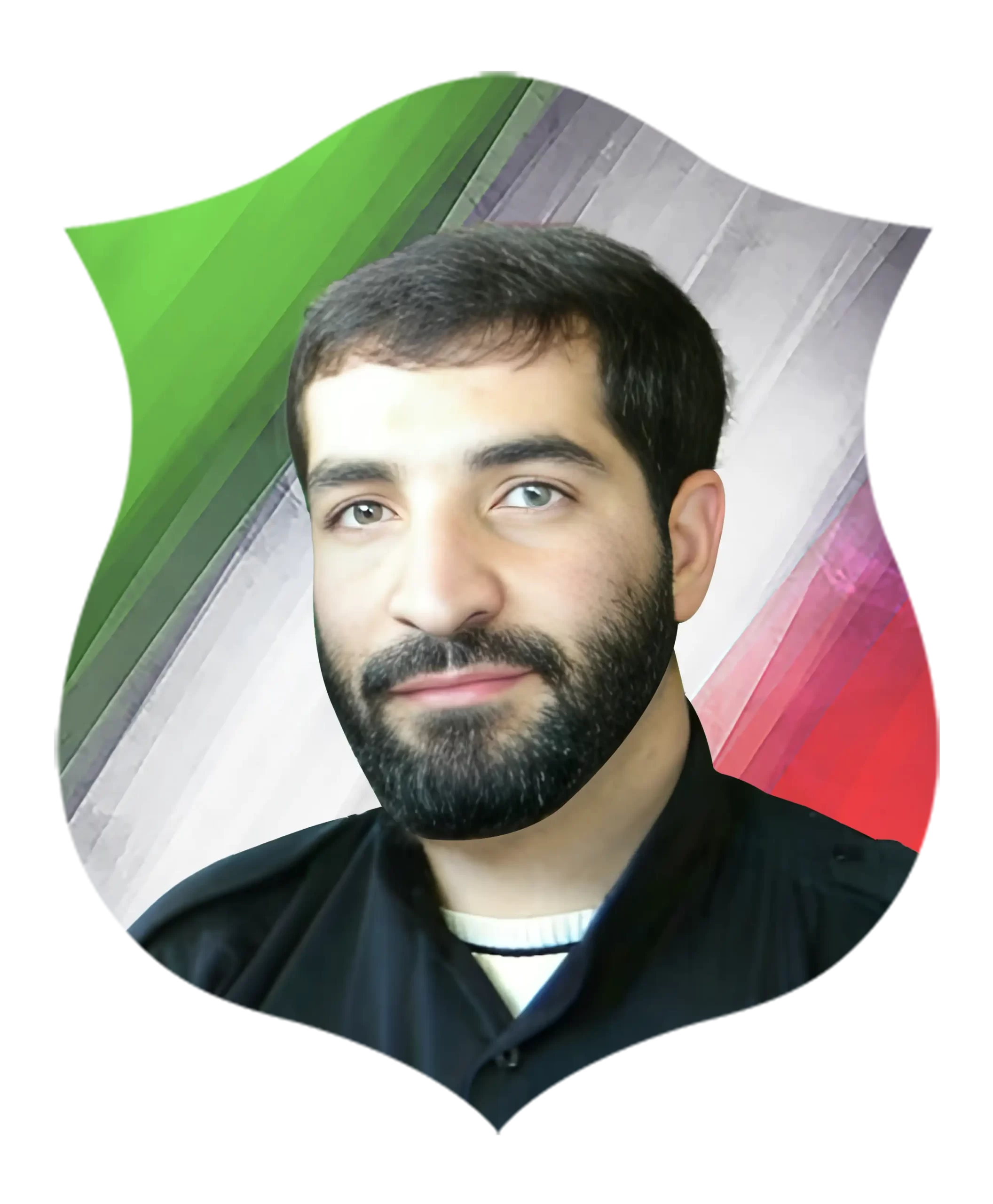 شهید محسن فانوسی