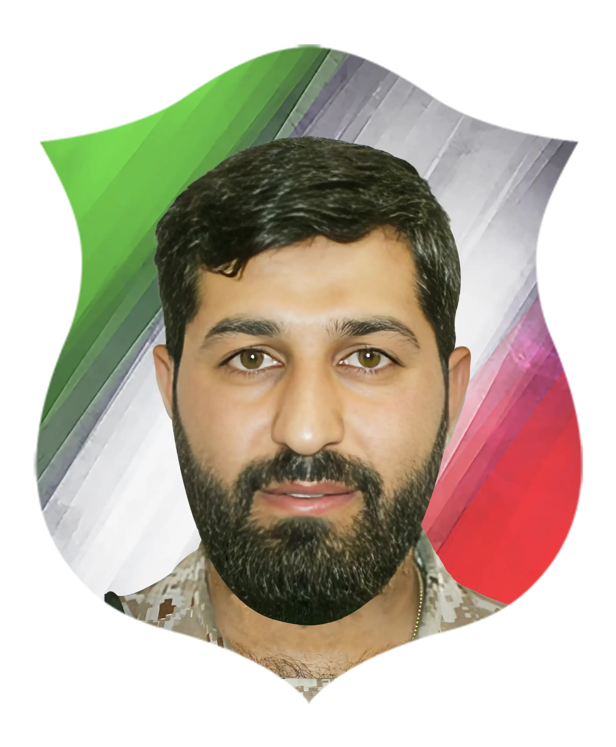 شهید محمدرضا زارع الوانی