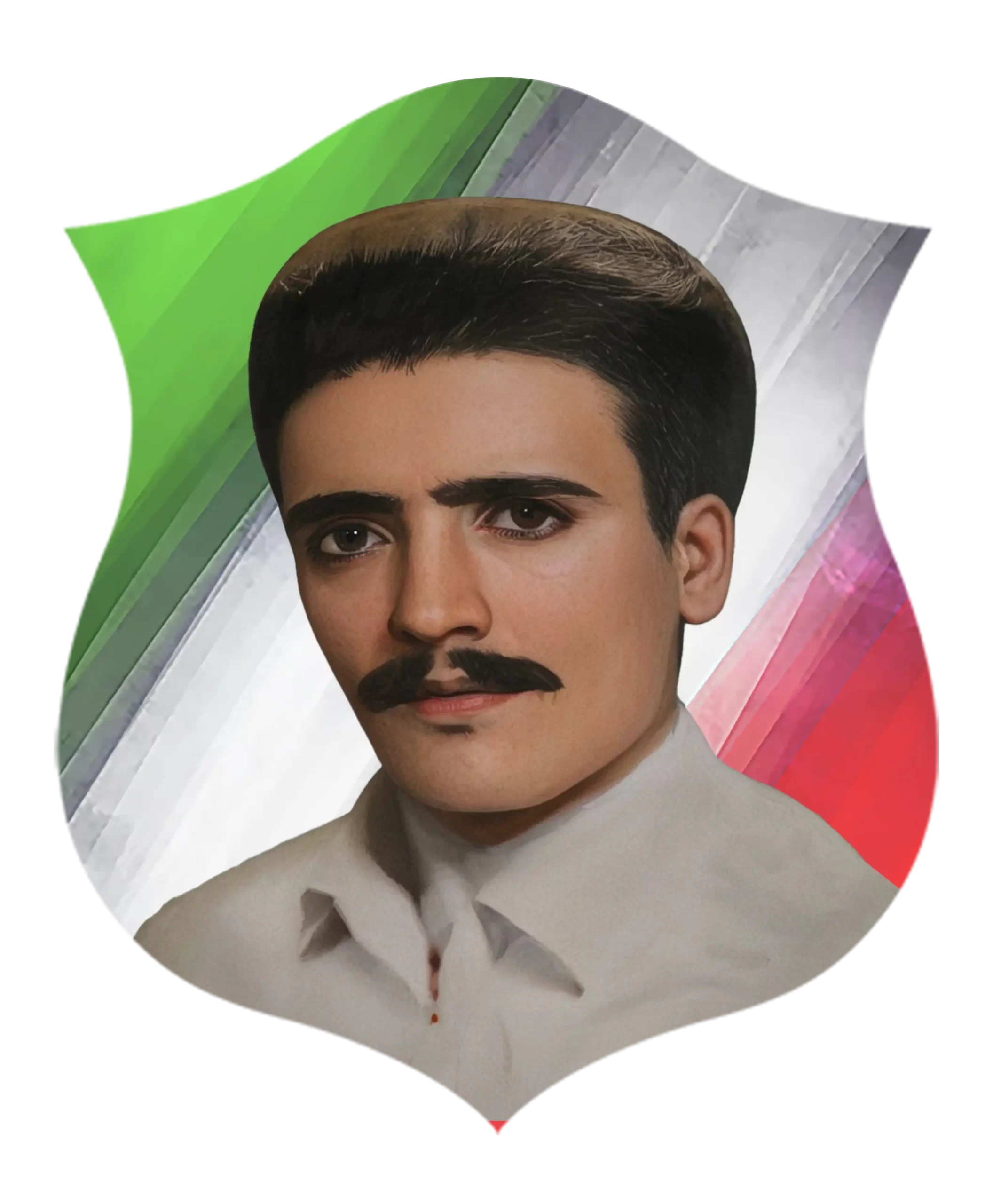 شهید سيد جواد حسيني فرهمند