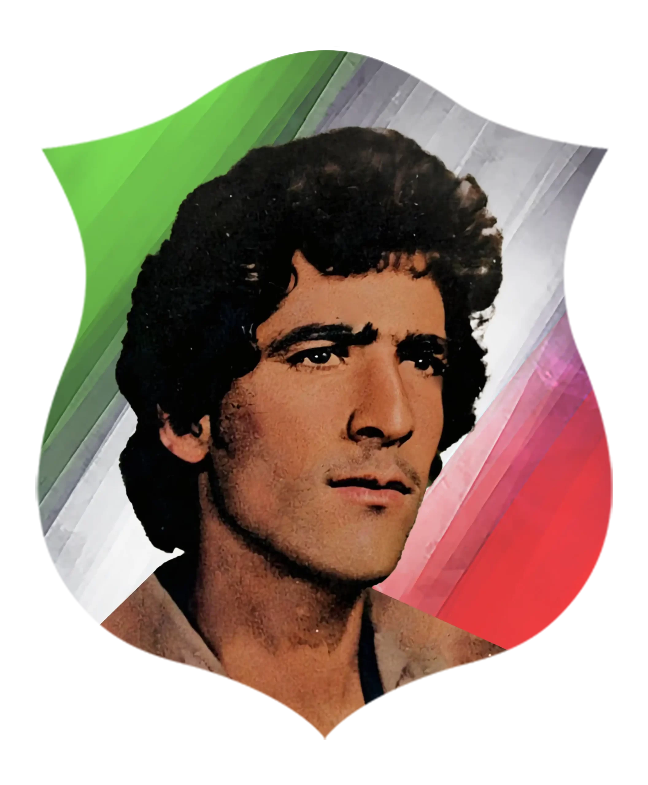 شهید حسین رضا ایوبی