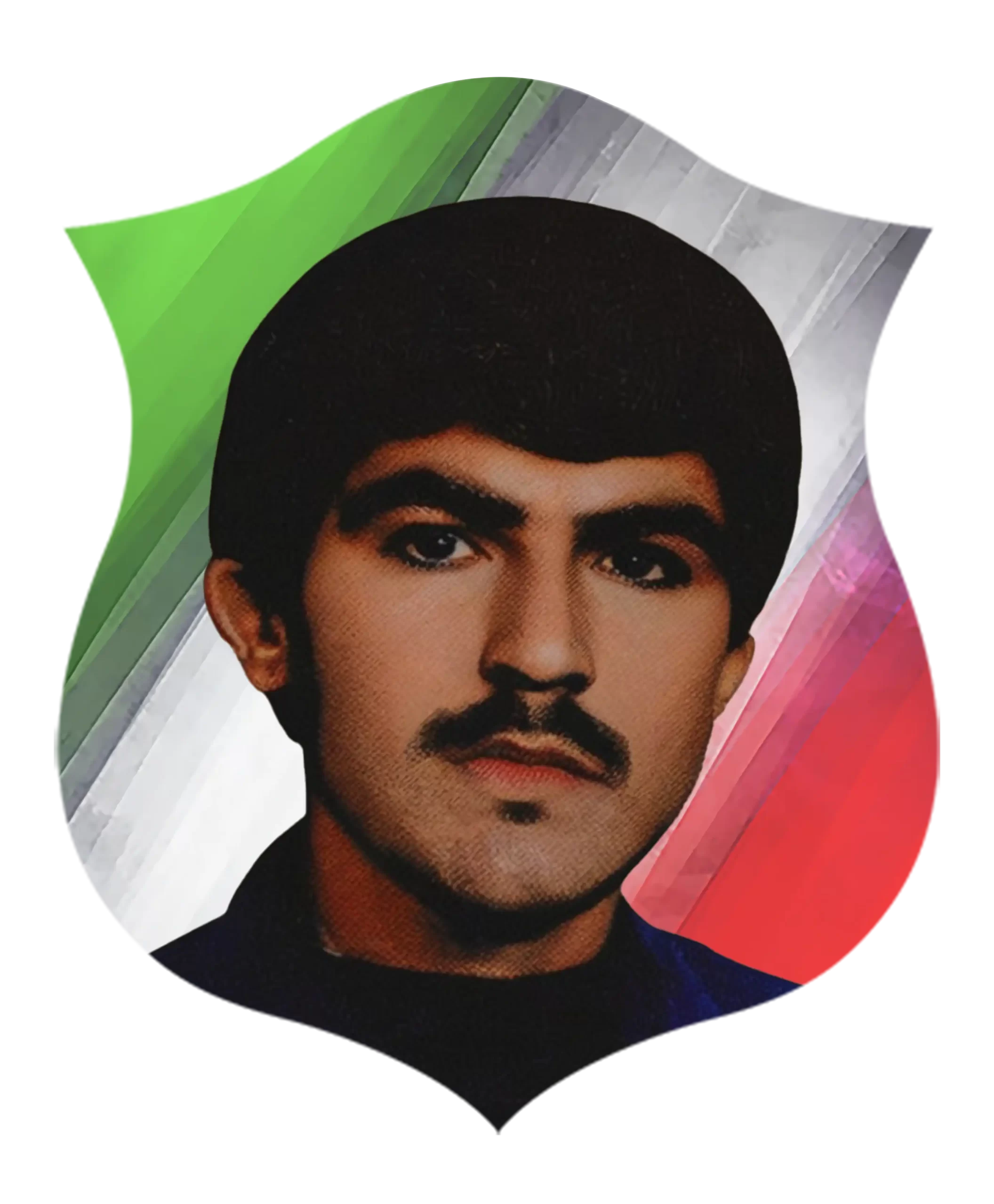 شهید علی رضا زینلی