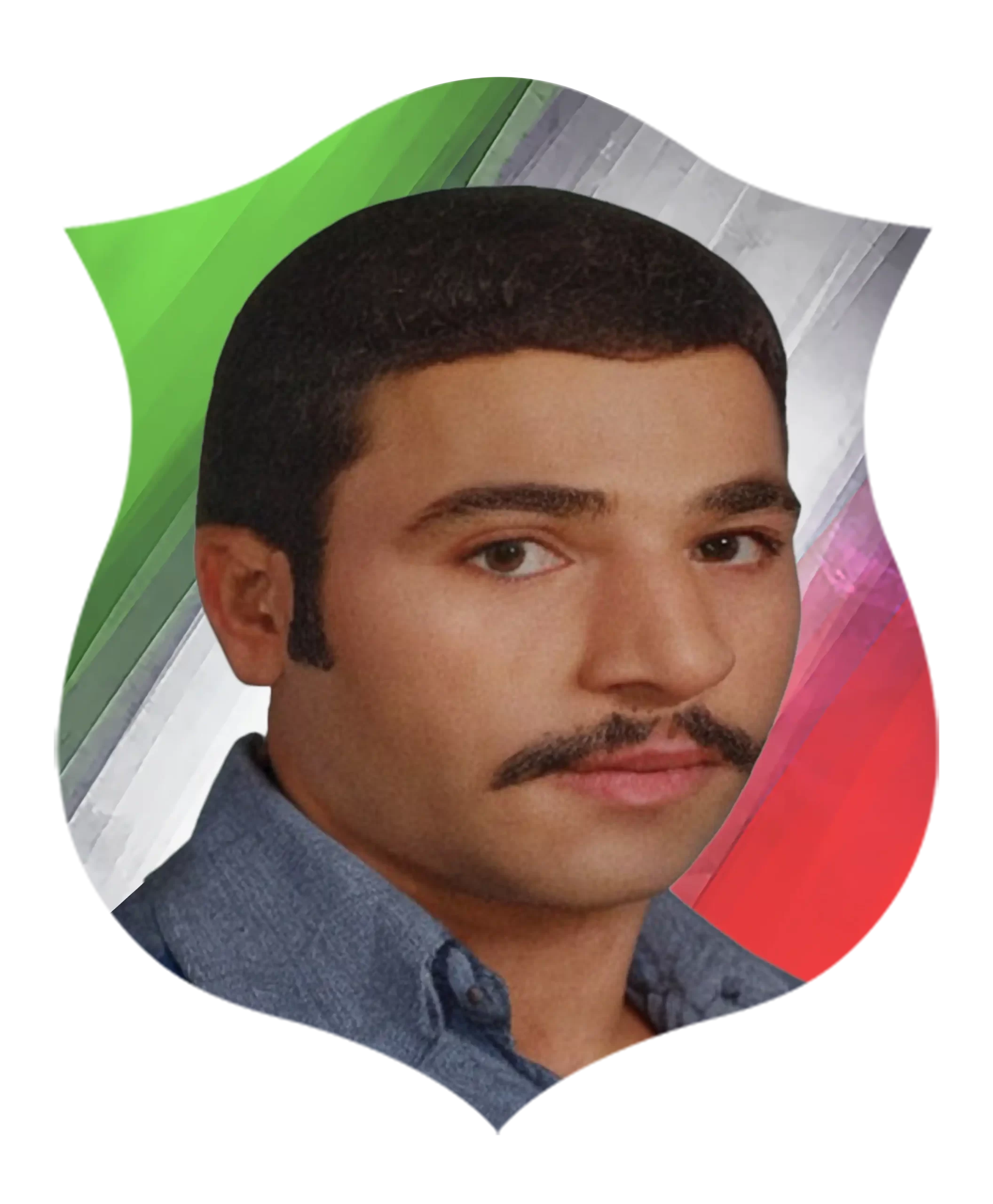 شهید علیرضا ورمزیار