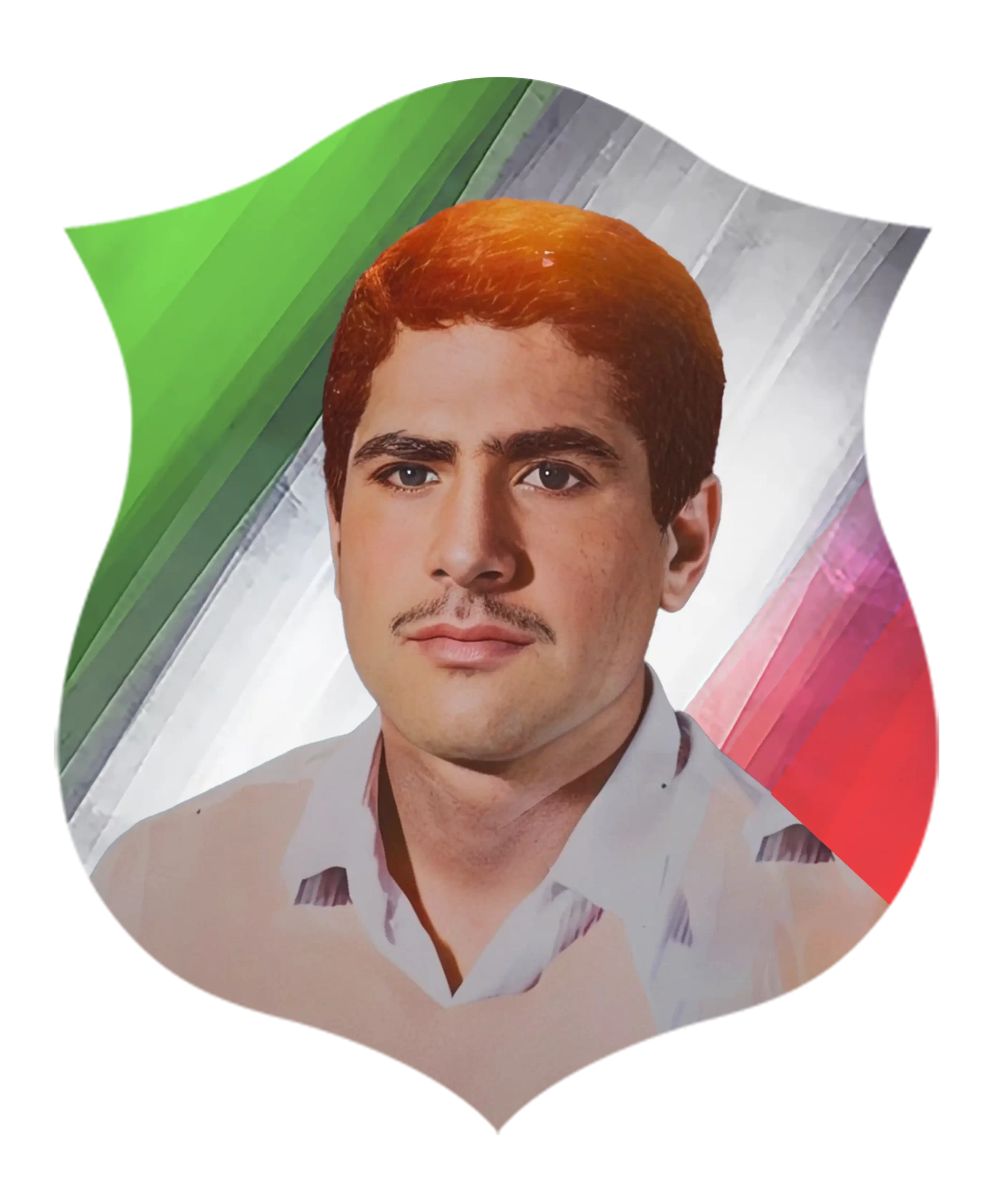 شهید مهدی سهرابی وفا