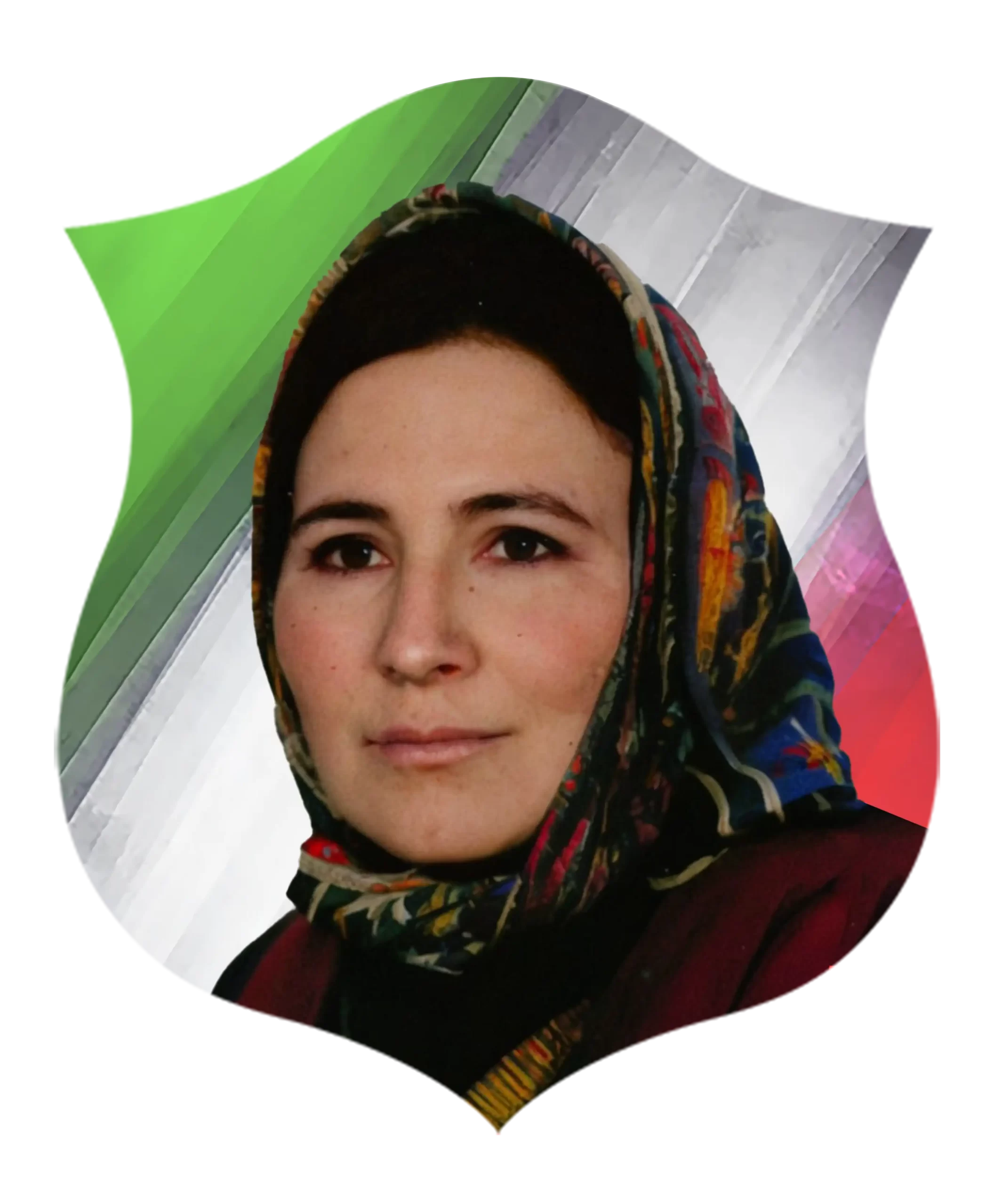 شهید نارنج قادری