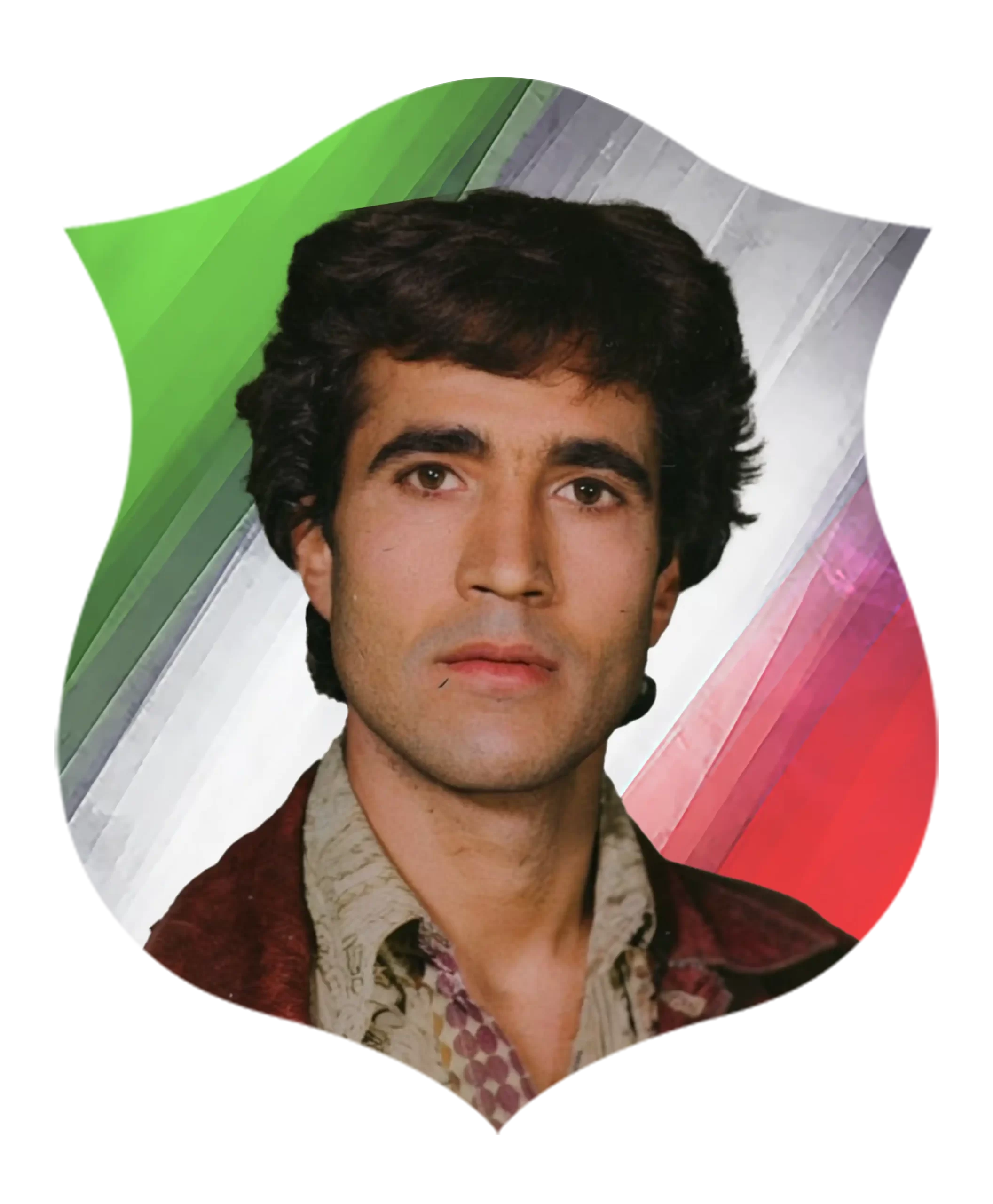 شهید  محمود میری