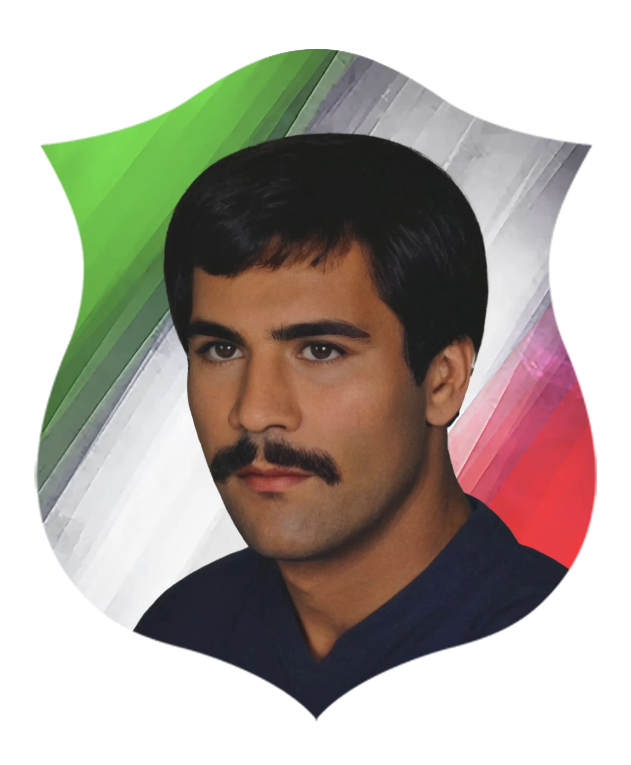 شهید  مصطفی زارعی