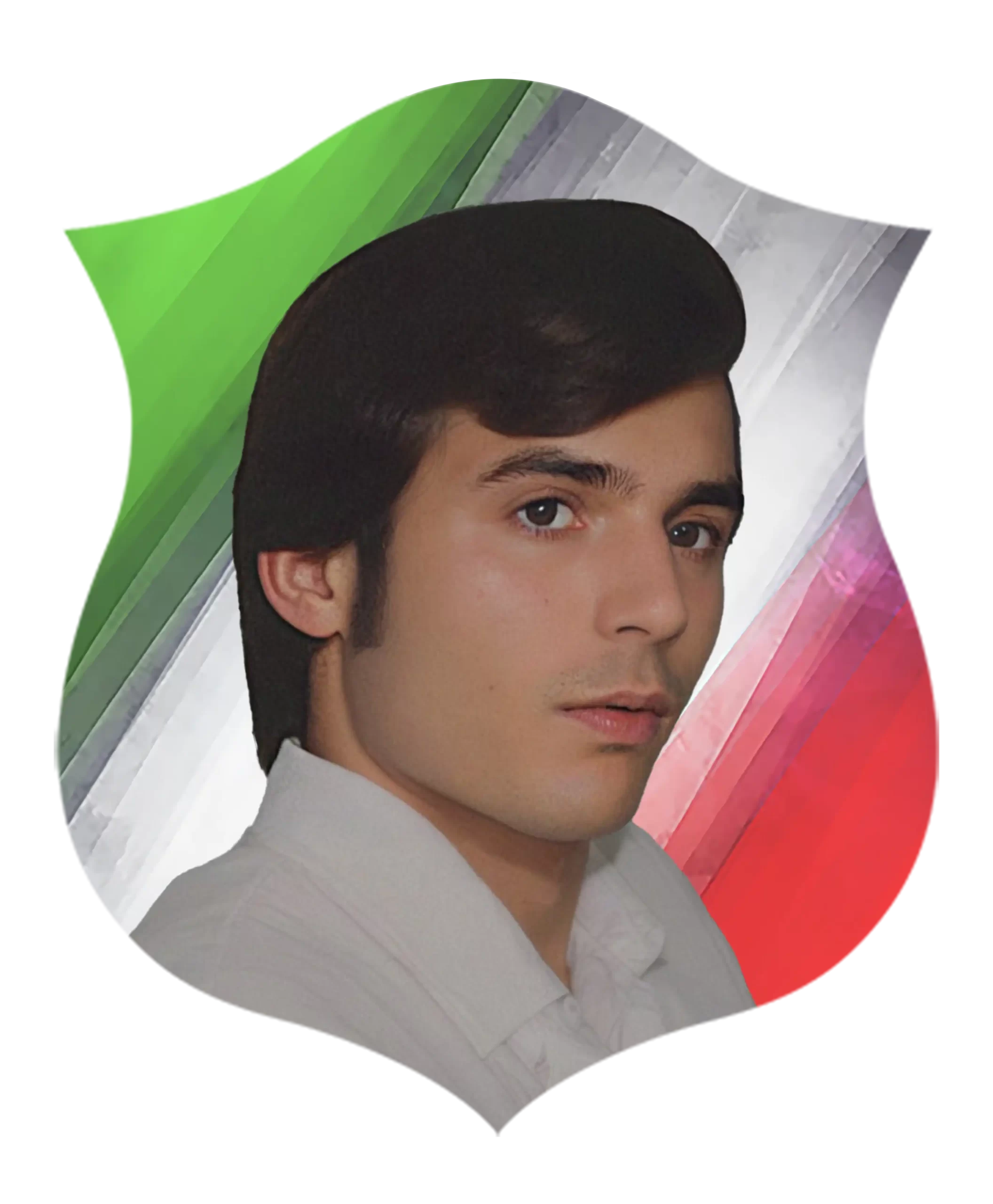 شهید محسن صارمی