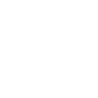 ارتش